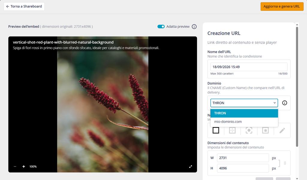 URL Creation panel with the Domain field opened showing the choice between THRON and a custom domain